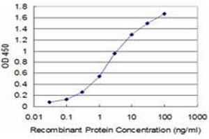 Detection limit for recombinant GST tagged BOLL is approximately 0. (BOLL 抗体  (AA 185-283))