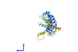 Protein Structure (PS) image for Leucine Rich Repeat Containing 2 (LRRC2) (AA 1-371) protein (His tag) (ABIN7559854)