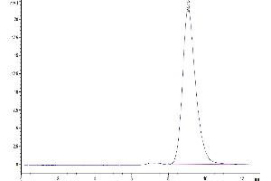 Size-exclusion chromatography-High Pressure Liquid Chromatography (SEC-HPLC) image for Bone Marrow Stromal Cell Antigen 1 (BST1) (AA 25-286) protein (His tag) (ABIN7273994)