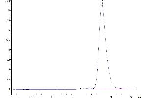 The purity of Mouse BST1 is greater than 95 % as determined by SEC-HPLC. (BST1 Protein (AA 25-286) (His tag))