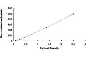 Typical standard curve (CCL22 ELISA 试剂盒)