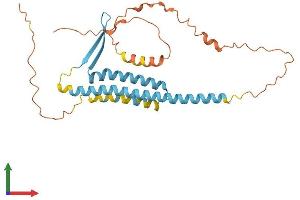 AlphaFold protein structure predicition of Human Recombinant TVP23C Protein, UniprotID Q96ET8 (TVP23C/FAM18B2 Protein (AA 1-276) (His tag))