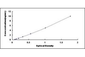 Typical standard curve (OCT4 ELISA 试剂盒)