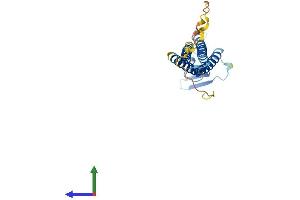 Protein Structure (PS) image for Claudin 14 (CLDN14) (AA 1-239) protein (His tag) (ABIN7556352)