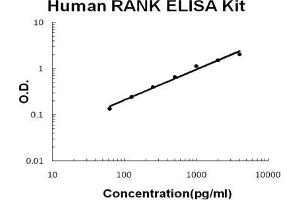 Human RANK PicoKine ELISA Kit standard curve (TNFRSF11A ELISA 试剂盒)