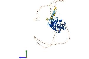 Protein Structure (PS) image for Calcium Channel, Voltage-Dependent, beta 4 Subunit (CACNB4) (AA 1-520) protein (His tag) (ABIN7552830)