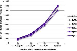 FLISA plate was coated with purified mouse IgGκ, IgMκ, IgAκ, IgGλ, IgMλ, and IgAλ. (大鼠 anti-小鼠 lambda Antibody (PE))