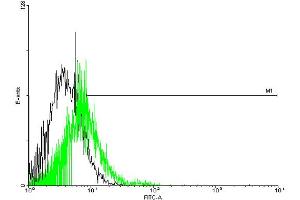 FACS analysis of negative control 293 cells (Black) and GPR151 expressing 293 cells (Green) using GPR151 purified MaxPab mouse polyclonal antibody. (GPR151 抗体  (AA 1-419))
