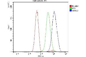 Flow Cytometry analysis of U251 cells using anti-Grainyhead-like protein 1/GRHL1 antibody (ABIN7599498).