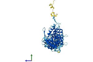 Protein Structure (PS) image for T-Complex 1 (TCP1) (AA 1-556) protein (His tag) (ABIN7562846)