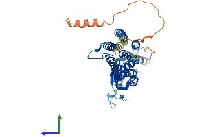 Protein Structure (PS) image for Solute Carrier Family 30 (Zinc Transporter), Member 8 (SLC30A8) (AA 1-369) protein (His tag) (ABIN7545841)