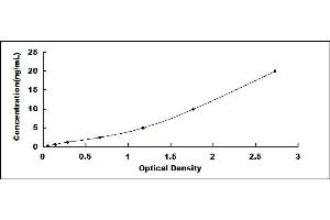 Typical standard curve (ACTN1 ELISA 试剂盒)