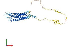 Protein Structure (PS) image for Claudin 23 (CLDN23) (AA 1-292) protein (His tag) (ABIN7546595)