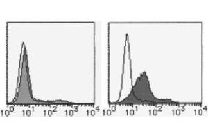Flow Cytometry (FACS) image for anti-Sema Domain, Immunoglobulin Domain (Ig), Transmembrane Domain (TM) and Short Cytoplasmic Domain, (Semaphorin) 4D (SEMA4D) antibody (FITC) (ABIN2853598)