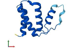 Protein Structure (PS) image for Acyl-CoA Binding Domain Containing 7 (ACBD7) (AA 1-88) protein (Fc Tag) (ABIN7560900)