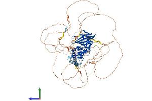 Protein Structure (PS) image for Tyrosine-Protein Phosphatase Non-Receptor Type 22 (PTPN22) (AA 1-802) protein (His tag) (ABIN7563073)