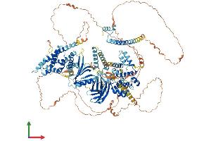 Protein Structure (PS) image for Breakpoint Cluster Region (BCR) (AA 1-1270) protein (His tag) (ABIN7564104)