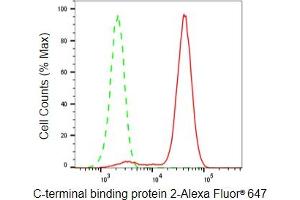 Flow cytometric analysis of C-terminal binding protein 2 expression in HeLa cells using C-terminal binding protein 2 antibody (ABIN7797816), 1:2,000).