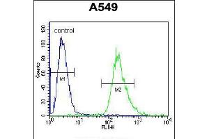 Flow cytometric analysis of A549 cells (right histogram) compared to a negative control cell (left histogram). (PRR19 抗体  (AA 208-236))