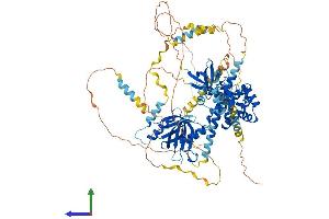 Protein Structure (PS) image for Epidermal Growth Factor Receptor Pathway Substrate 8 (EPS8) (AA 1-821) protein (His tag) (ABIN7563612)