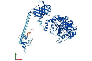 Protein Structure (PS) image for Asparaginyl-tRNA Synthetase (NARS) (AA 1-559) protein (His tag) (ABIN7558795)