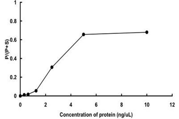 PIK3CA Protein (AA 1-1068) (GST tag)