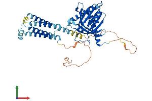 Protein Structure (PS) image for StAR-Related Lipid Transfer (START) Domain Containing 3 (STARD3) (AA 1-446) protein (His tag) (ABIN7557715)