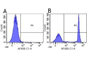 Flow-cytometry using the anti-CD4 research biosimilar antibody Clenoliximab (CE9. (Recombinant CD4 (Clenoliximab Biosimilar) 抗体)