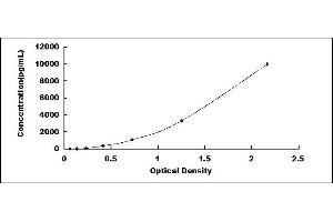 Typical standard curve (P4HA1 ELISA 试剂盒)