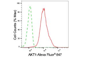 Flow cytometric analysis of AKT1 expression in C2C12 cells using AKT1 antibody (ABIN7800777), 1:2,000). (AKT1 抗体)