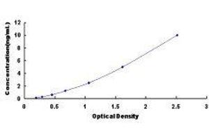 ELISA image for Cadherin EGF LAG Seven Pass G-Type Receptor 2 (CELSR2) ELISA Kit (ABIN422001)