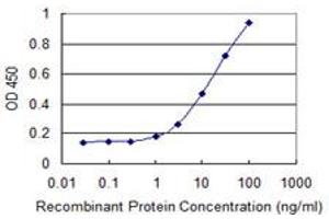 Detection limit for recombinant GST tagged CAV3 is 0. (Caveolin 3 抗体  (AA 1-83))