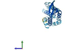 Protein Structure (PS) image for COMM Domain Containing 2 (COMMD2) (AA 1-199) protein (His tag) (ABIN7558996)