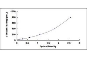 Typical standard curve (CD90 ELISA 试剂盒)