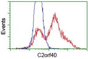 HEK293T cells transfected with either RC206239 overexpress plasmid (Red) or empty vector control plasmid (Blue) were immunostained by anti-C2orf40 antibody (ABIN2454455), and then analyzed by flow cytometry. (C2orf40 抗体)