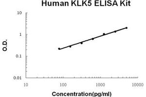 Human KLK5 PicoKine ELISA Kit standard curve (Kallikrein 5 ELISA 试剂盒)