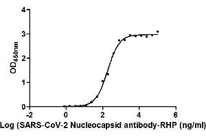Activity: Measured by its binding ability in a functional ELISA. (Recombinant SARS-CoV-2 Nucleocapsid 抗体  (AA 1-419) (HRP))