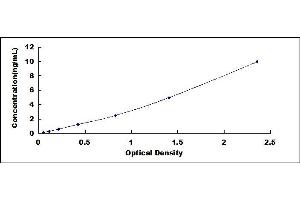 Typical standard curve (TAZ ELISA 试剂盒)