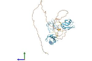 AlphaFold protein structure predicition of Mouse Recombinant Tardbp Protein, UniprotID Q921F2