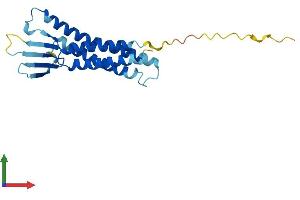 Protein Structure (PS) image for Claudin 4 (CLDN4) (AA 1-209) protein (His tag) (ABIN7553394)