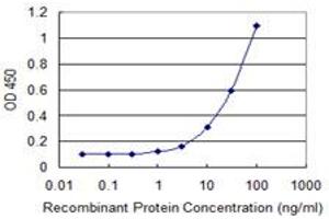 Detection limit for recombinant GST tagged ACOT8 is 1 ng/ml as a capture antibody. (ACOT8 抗体  (AA 108-215))