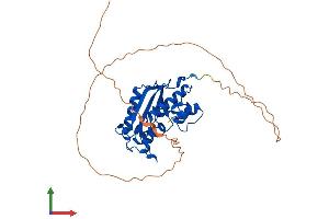 AlphaFold protein structure predicition of Human Recombinant ERI3 Protein, UniprotID O43414
