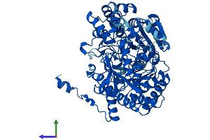 Protein Structure (PS) image for Urocanate Hydratase 1 (UROC1) (AA 1-676) protein (His tag) (ABIN7548356)