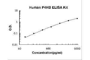 Prolyl 4-Hydroxylase, beta Polypeptide (P4HB) ELISA Kit