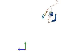 Protein Structure (PS) image for Keratin 36 (KRT36) (AA 1-473) protein (His tag) (ABIN7562026)