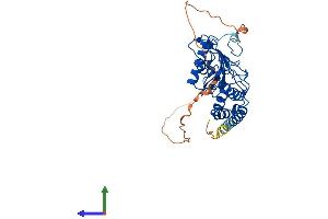 AlphaFold protein structure predicition of Human Recombinant UBE2Z Protein, UniprotID Q9H832