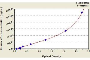 Typical Standard Curve (NEFL ELISA 试剂盒)