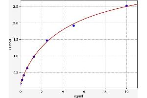 Typical standard curve (VAV3 ELISA 试剂盒)