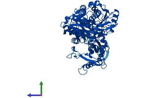 AlphaFold protein structure predicition of Mouse Recombinant Pgm2l1 Protein, UniprotID Q8CAA7