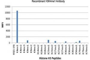 Recombinant H3K4me1 antibody specifically reacts to Histone H3 monomethylated at Lysine 4 (K4me1). (Recombinant Histone 3 抗体  (meLys4))